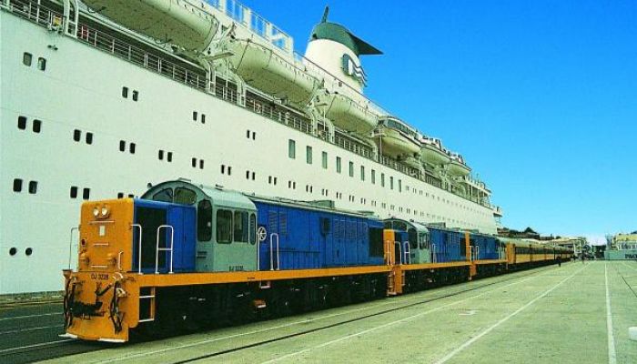 Cruise Ship Visitors