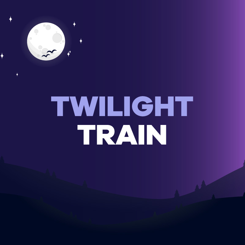 Twilight Train